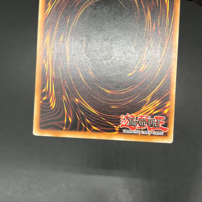 遊戯王　異次元の落とし穴/レリーフ/ドイツ語/EU版