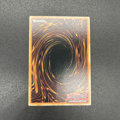 遊戯王 エビルナイト・ドラゴン/シークレット/英語/EU版 – カード 遊戯王 エビルナイト・ドラゴン/シークレット/英語/EU版 – カード