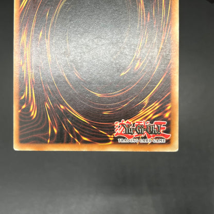 遊戯王　禁じられた聖杯/レリーフ/イタリア語/EU版