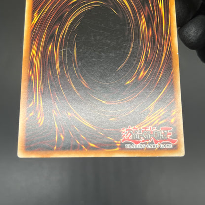 遊戯王　正統なる血統/レリーフ/イタリア語/EU版