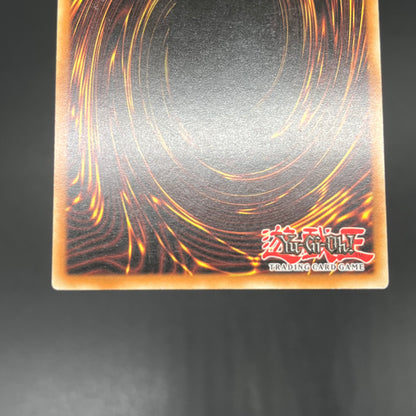 遊戯王　幻魔の殉教者/レリーフ/ドイツ語/1st/EU版