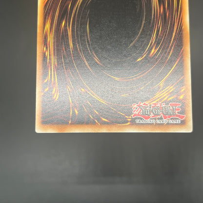 遊戯王　アルティメット・インセクトＬＶ７/レリーフ/ドイツ語/1st/EU版