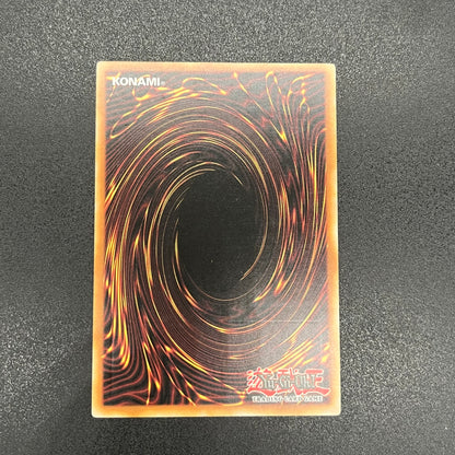 遊戯王　ＣＮｏ.１０７ 超銀河眼の時空龍/レリーフ/スペイン語/EU版