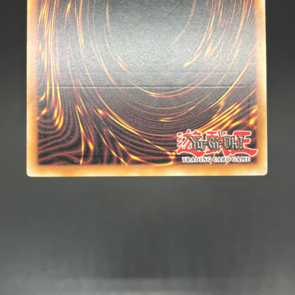 遊戯王　ＣＮｏ.１０７ 超銀河眼の時空龍/レリーフ/スペイン語/EU版