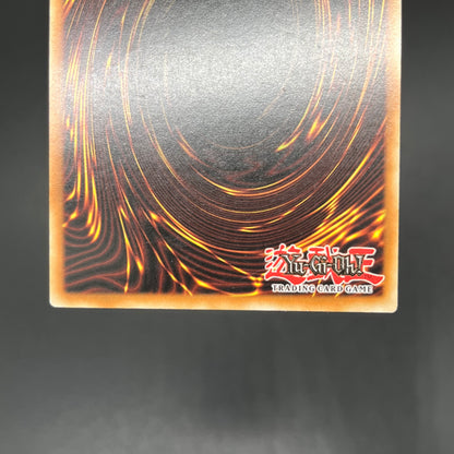 遊戯王　幻魔の殉教者/レリーフ/ドイツ語/1st/EU版