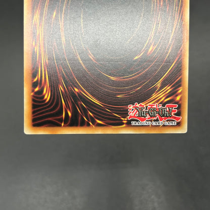 遊戯王　ブラック・マジシャン/レリーフ/ドイツ語/EU版