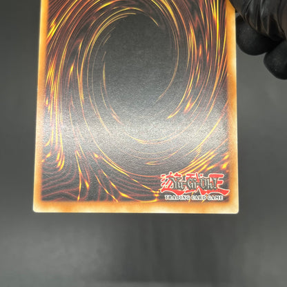 遊戯王　爆導索/レリーフ/イタリア語/1st/EU版