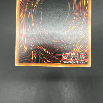 遊戯王　ブラック・マジシャン/レリーフ/ドイツ語/EU版