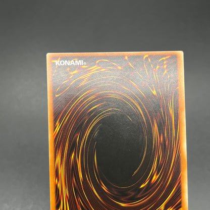 遊戯王　エレメンタル・アブソーバー/レリーフ/ドイツ語/1st/EU版