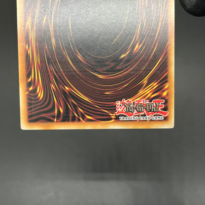 遊戯王　ＣＮｏ.１０７ 超銀河眼の時空龍/レリーフ/スペイン語/EU版