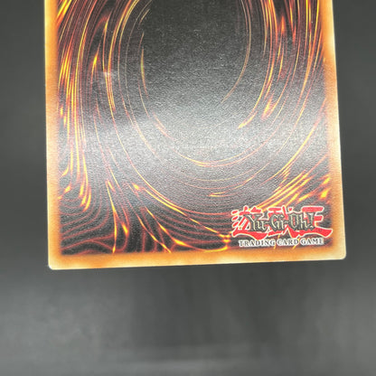 遊戯王　ヘル・ブラスト/レリーフ/ドイツ語/EU版