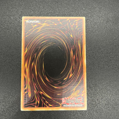 遊戯王　ＣＮｏ.１０７ 超銀河眼の時空龍/レリーフ/スペイン語/EU版