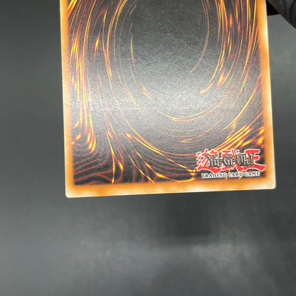 遊戯王　エレメンタル・アブソーバー/レリーフ/ドイツ語/1st/EU版