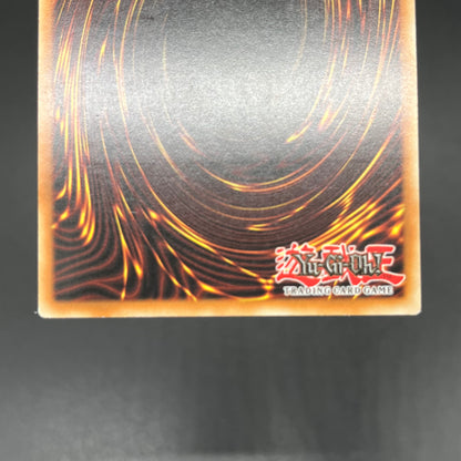 遊戯王　幻魔の殉教者/レリーフ/ドイツ語/1st/EU版