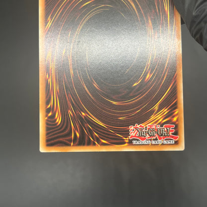 遊戯王　漆黒の魔王 ＬＶ６/レリーフ/ドイツ語/1st/EU