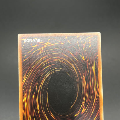 遊戯王　幻魔の殉教者/レリーフ/ドイツ語/1st/EU版