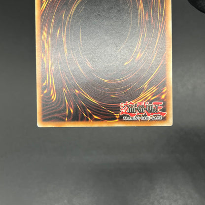 遊戯王　Ｅ−ＨＥＲＯ ライトニング・ゴーレム/レリーフ/ドイツ語/EU版