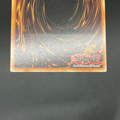 遊戯王　キングス・ナイト/レリーフ/ドイツ語/EU版