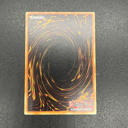 遊戯王　ＴＧ ワンダー・マジシャン/レリーフ/ドイツ語/EU版