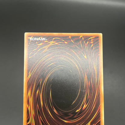 遊戯王　ＣＮｏ.１０７ 超銀河眼の時空龍/レリーフ/スペイン語/EU版