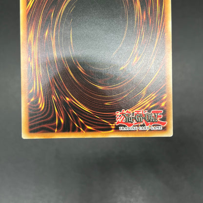 遊戯王　ブラック・マジシャン/レリーフ/ドイツ語/EU版