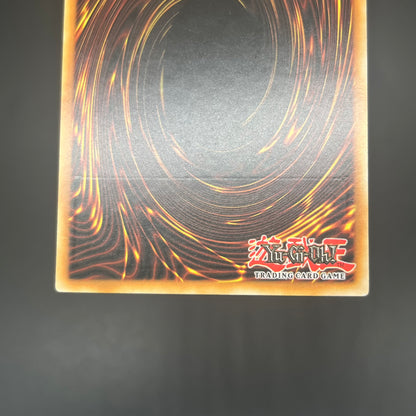 遊戯王　メタファイズ・ホルス・ドラゴン/レリーフ/ドイツ語/1st/EU版