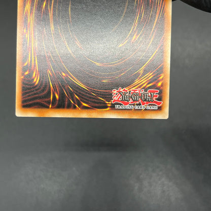 遊戯王　エレメンタル・アブソーバー/レリーフ/ドイツ語/1st/EU版